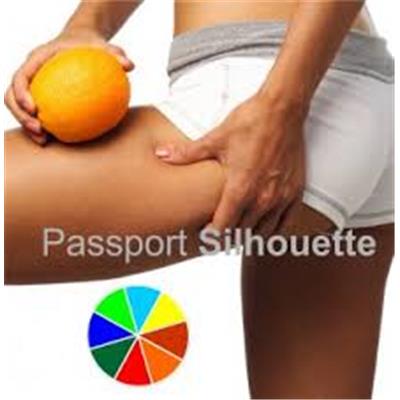 PASSPORT SILHOUETTE